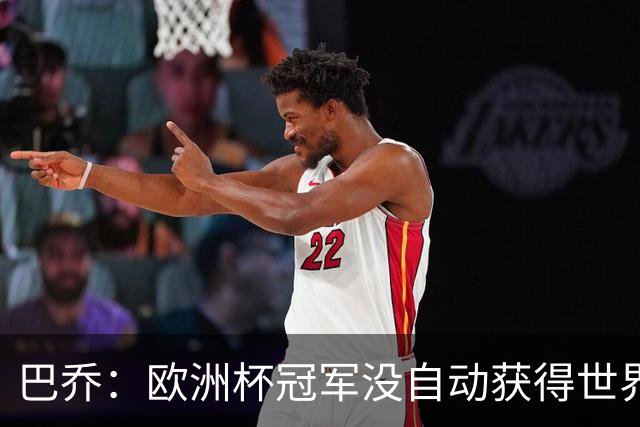 巴乔：欧洲杯冠军没自动获得世界杯资格 这是耻辱